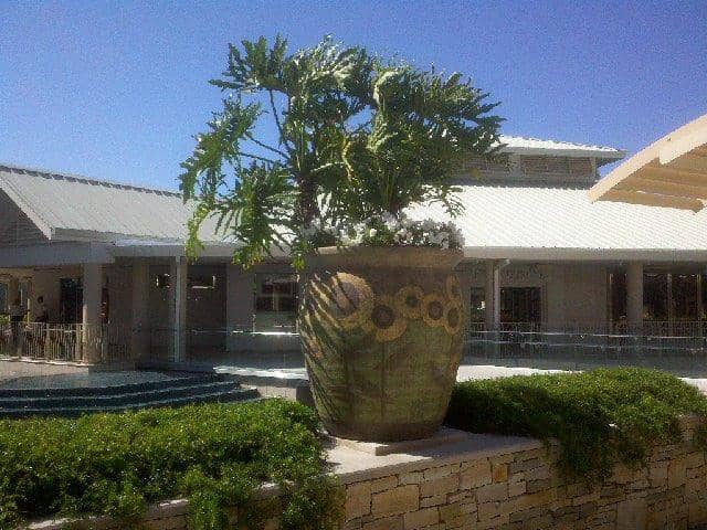 Upscale Dining Options