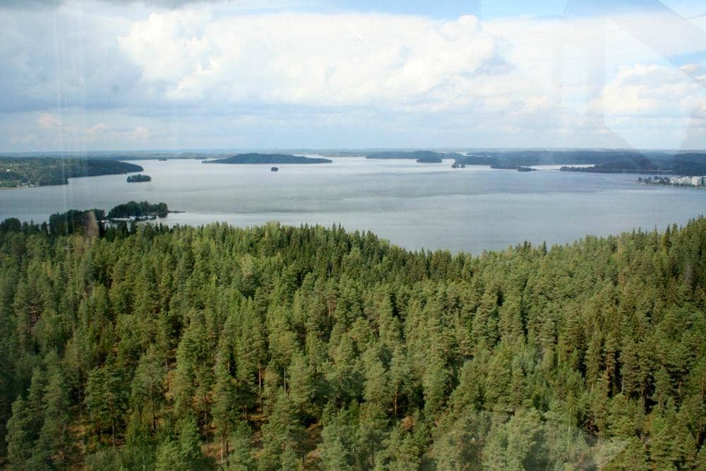 Summer Swimming Pool