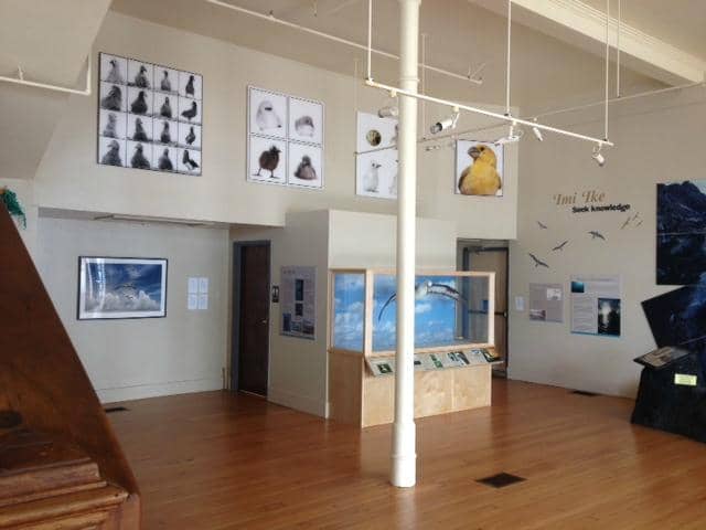 Polynesian Ship Playground