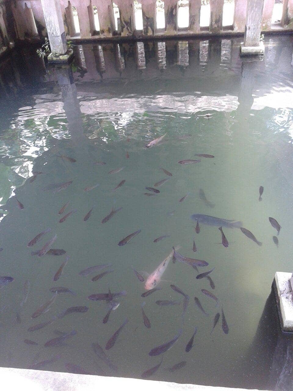 Kotagede Old Town Architecture