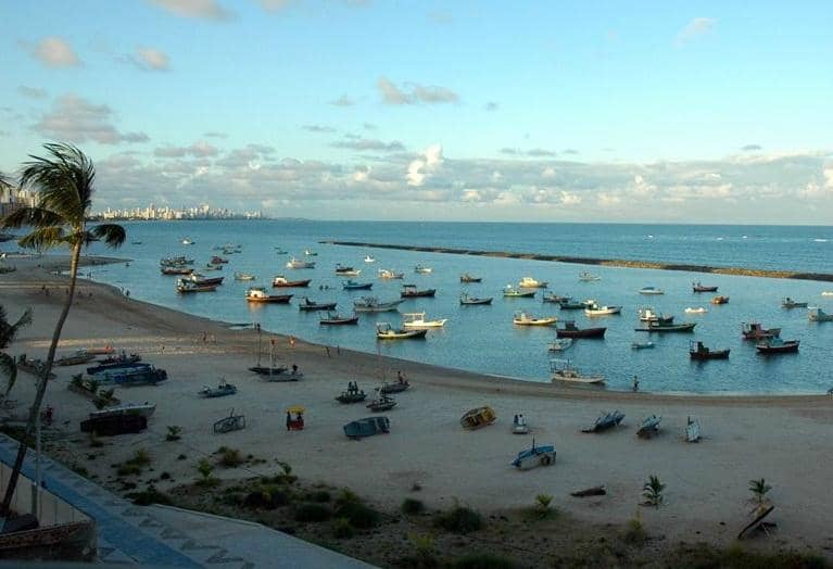 Vibrant Christmas Tree