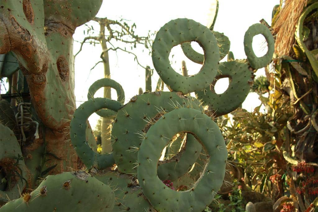 Secret Aperitif Experience