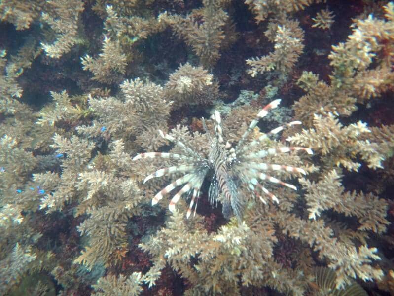 Island Hopping Adventures