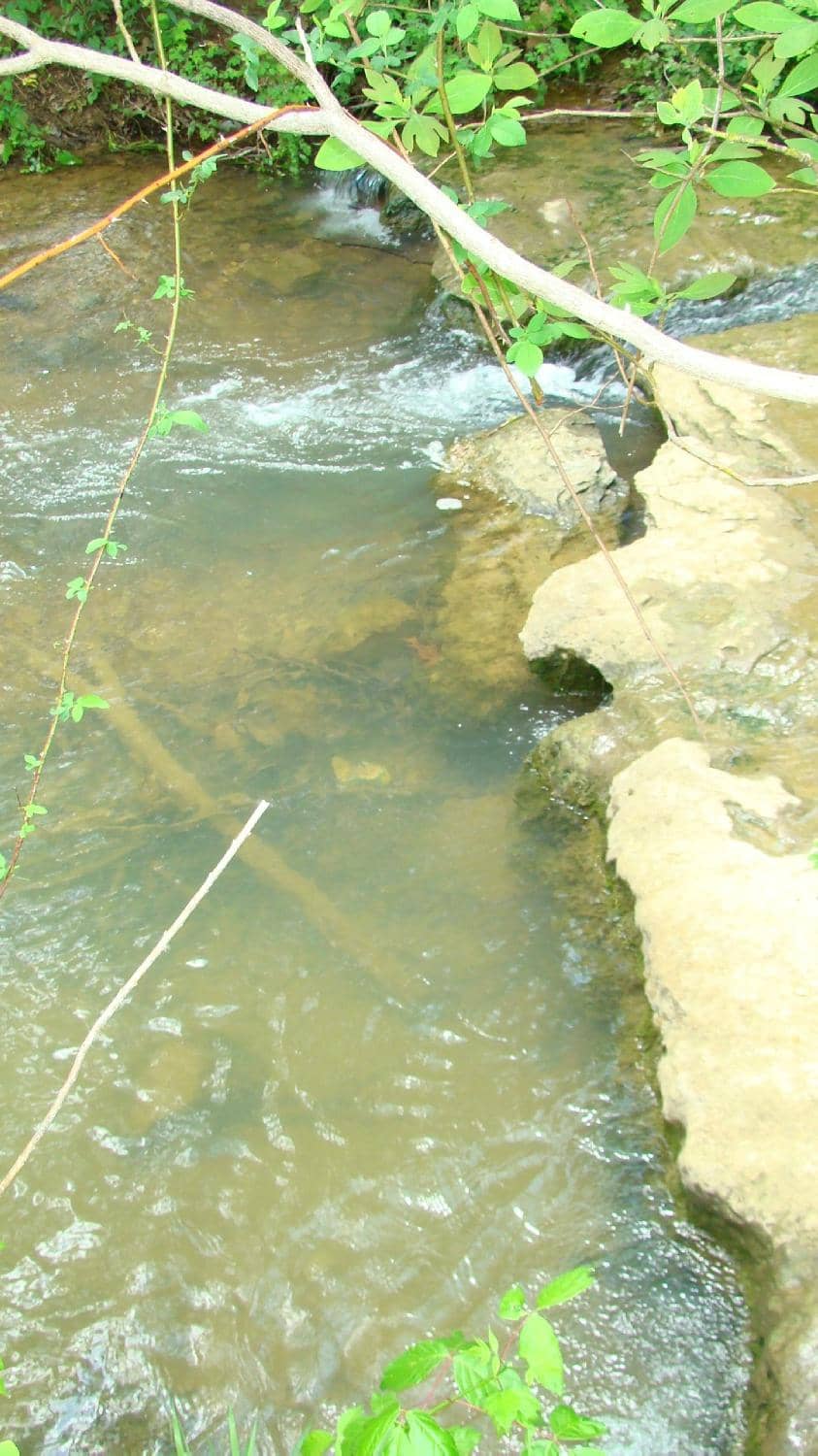 Valley Creek