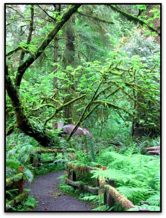 Dinosaur-Themed Gift Shop