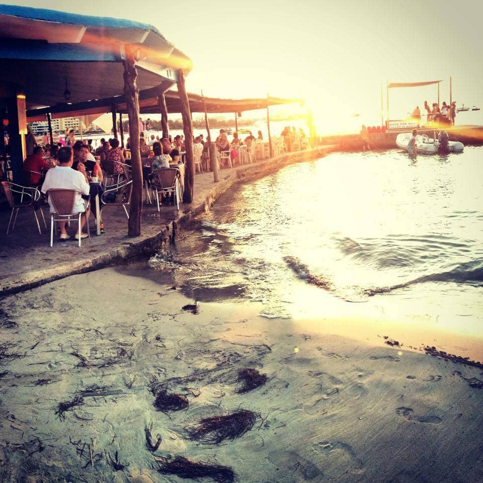 Fresh Seafood Delights