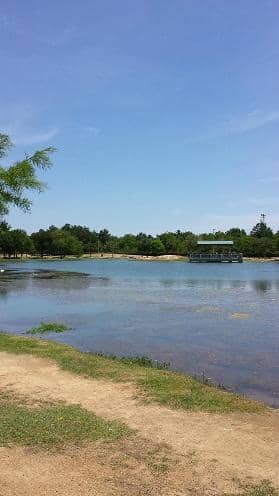 Playground Paradise