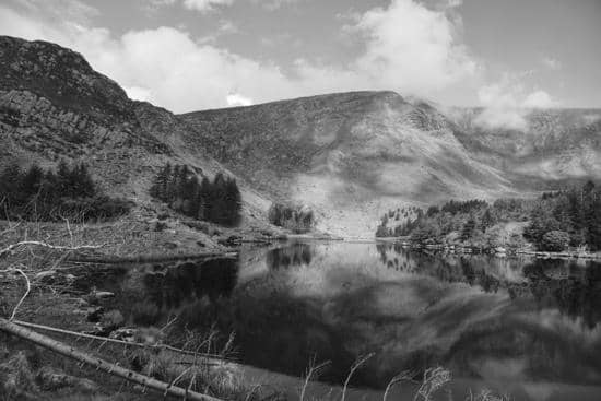 Scenic Boardwalk Trail