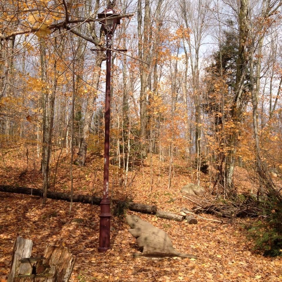 Vertical photo