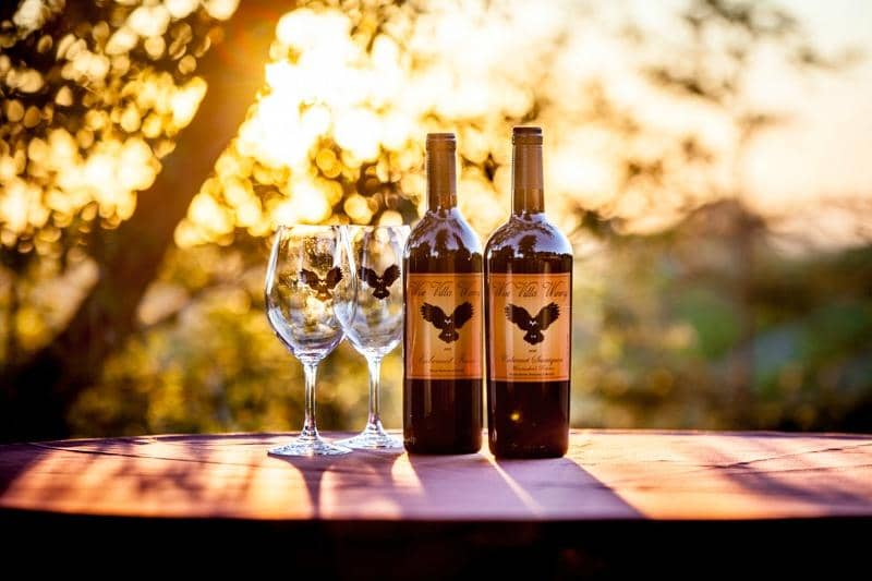 Owner-Led Wine Tours