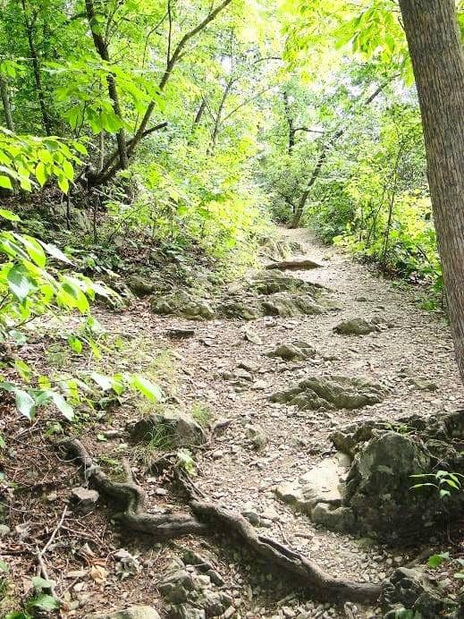 Waterfall and River Access