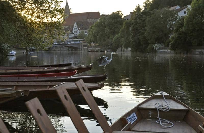 Charming Tübingen Views