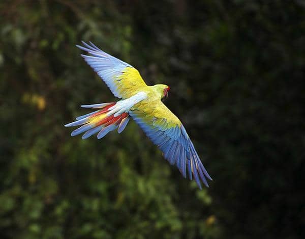 Local Artisan Gift Shop