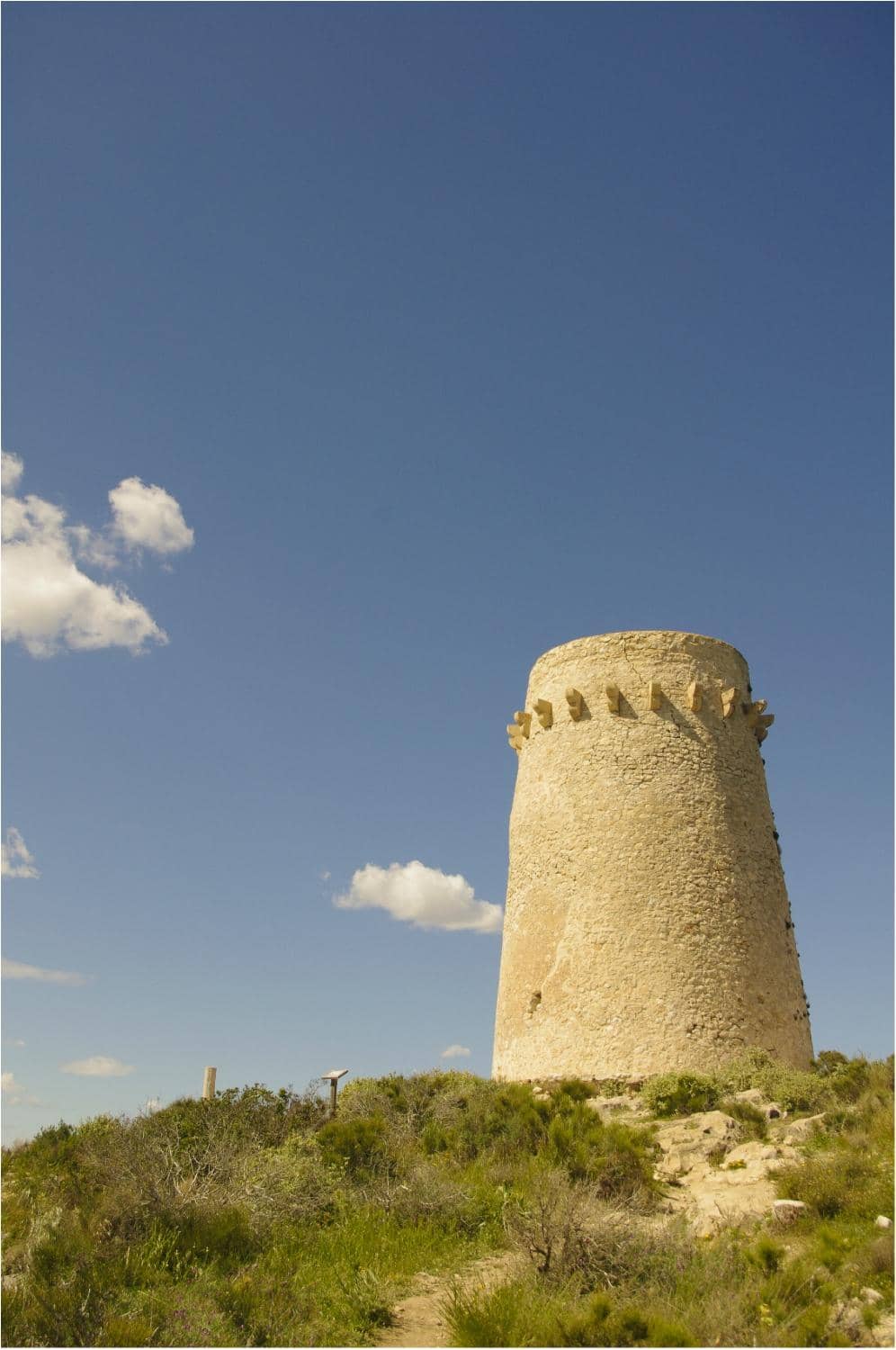 Vertical photo