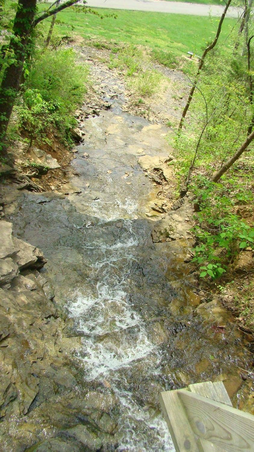 Scenic Hiking Trails
