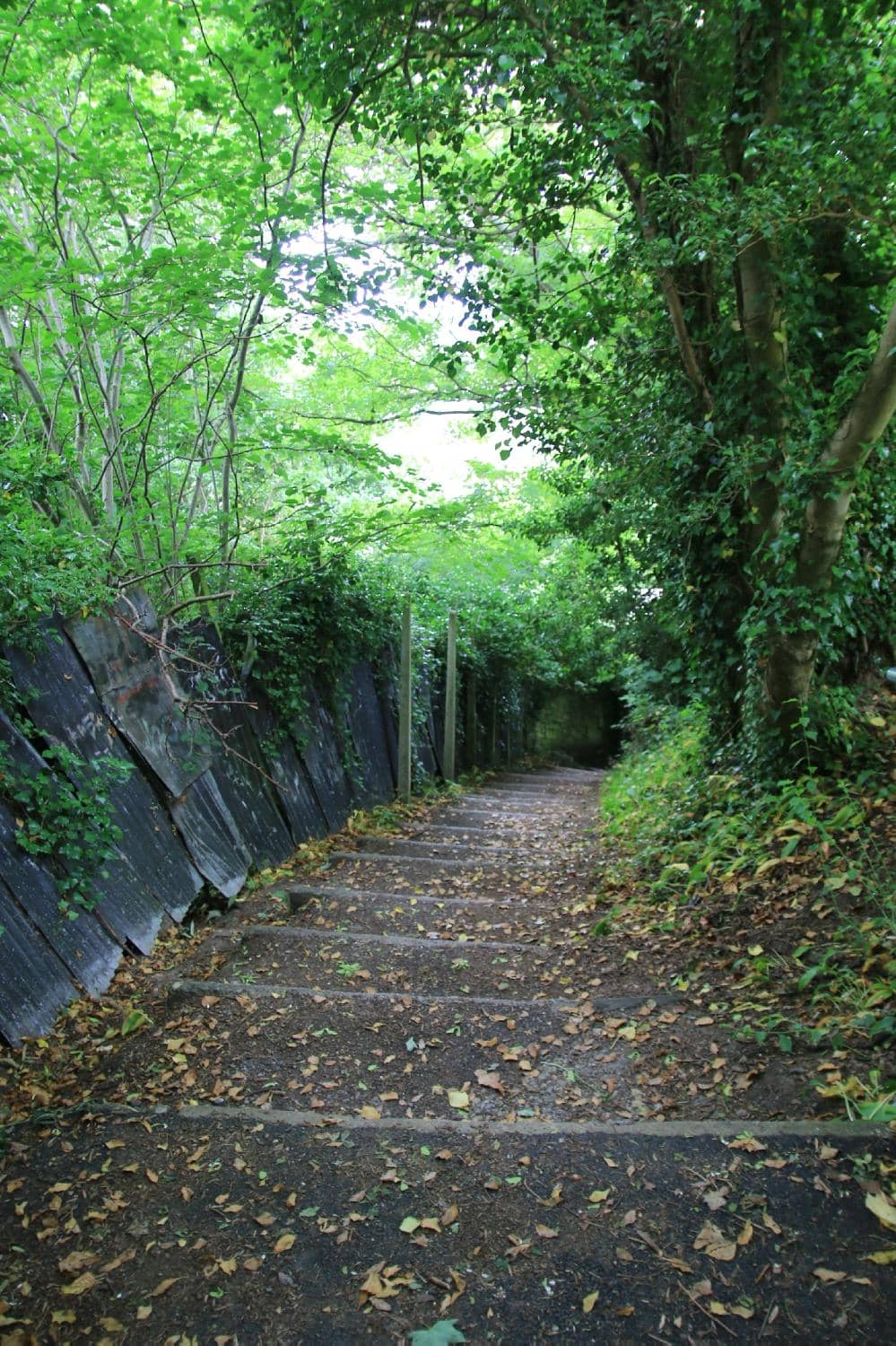 The Bandstand Performances