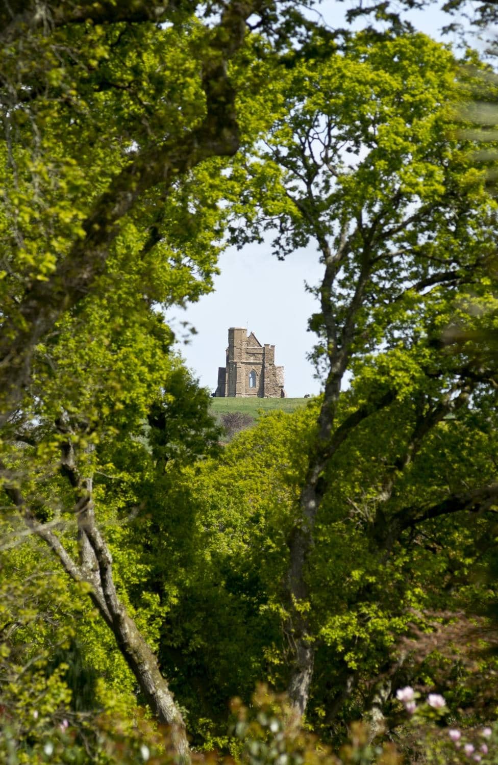 Chesil Beach Viewpoint