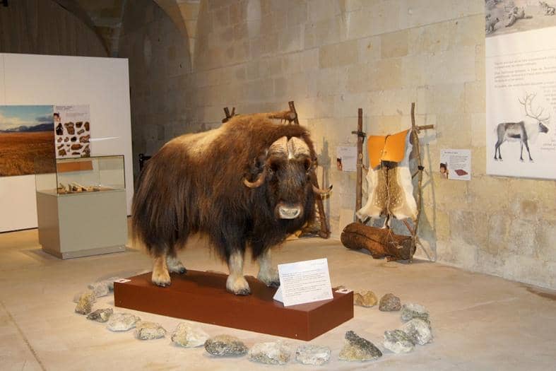 Château Architecture