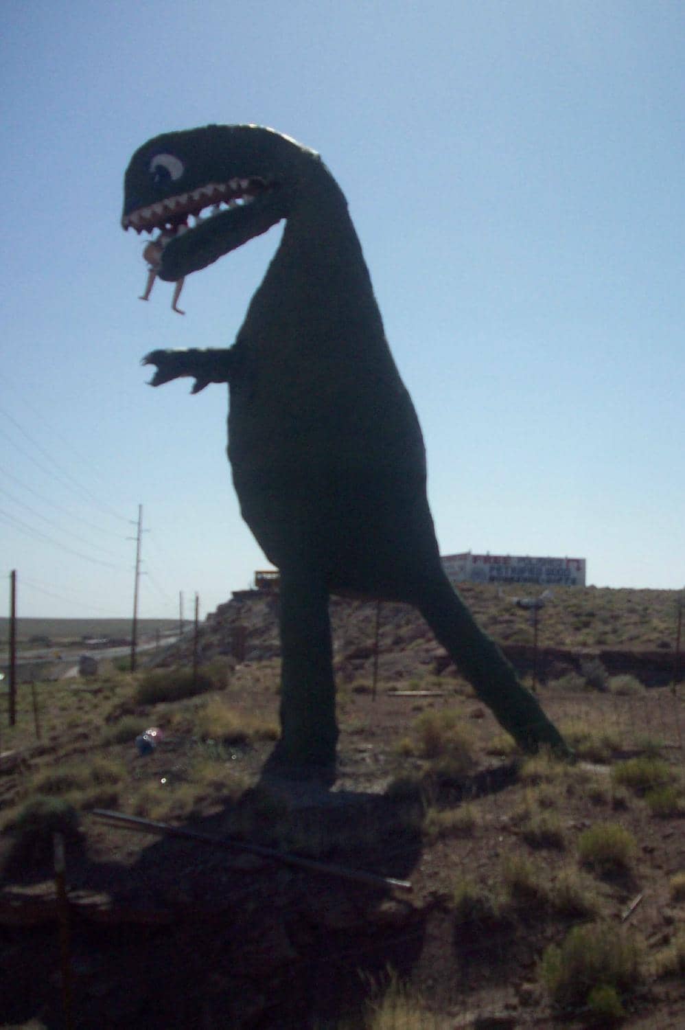 Outdoor Art & Dinosaur Displays