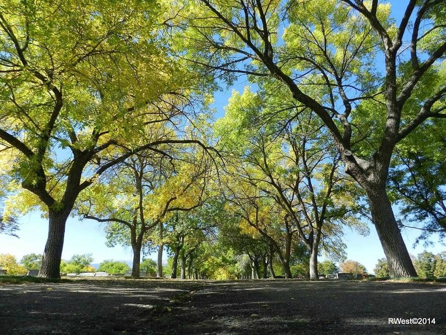Wilde Memorial Chapel