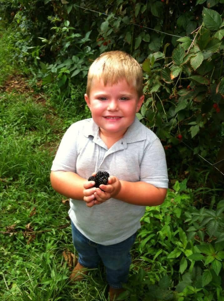 Farm Market & Delicious Treats