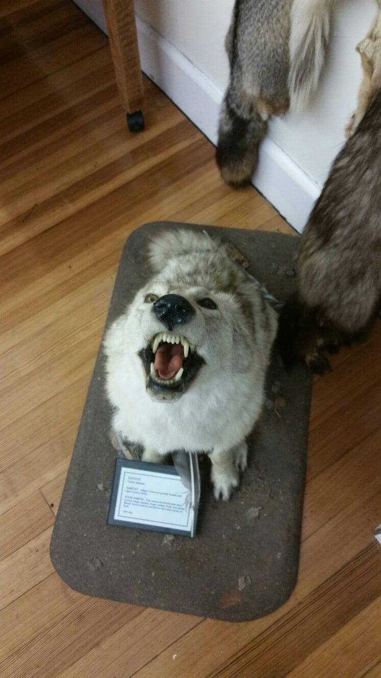 Children's Scavenger Hunt