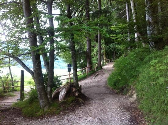 Peaceful Lakeside Trails