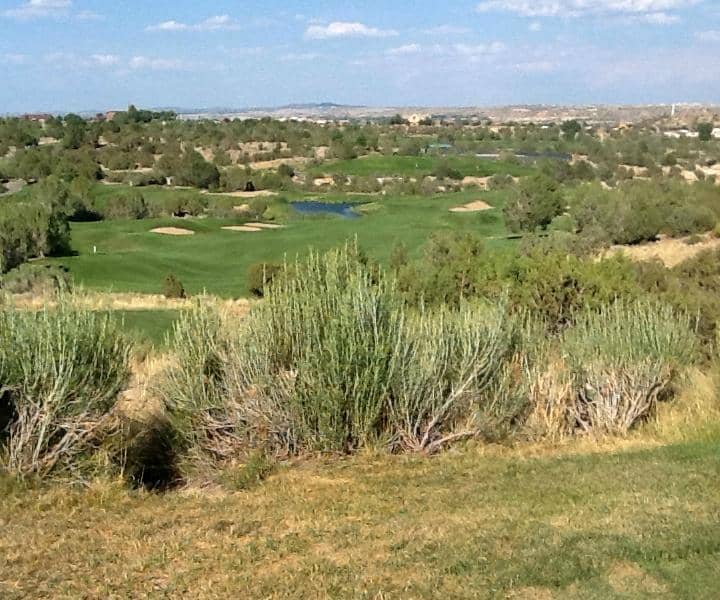 Immaculate Course Conditions