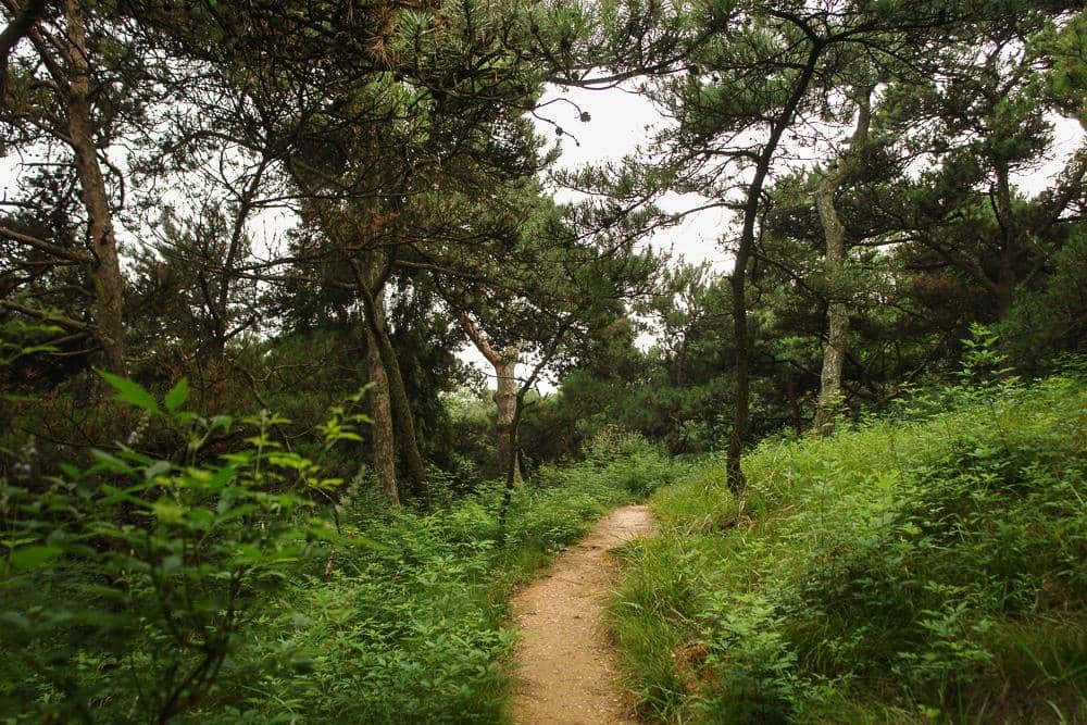 Silent Contemplation Spots