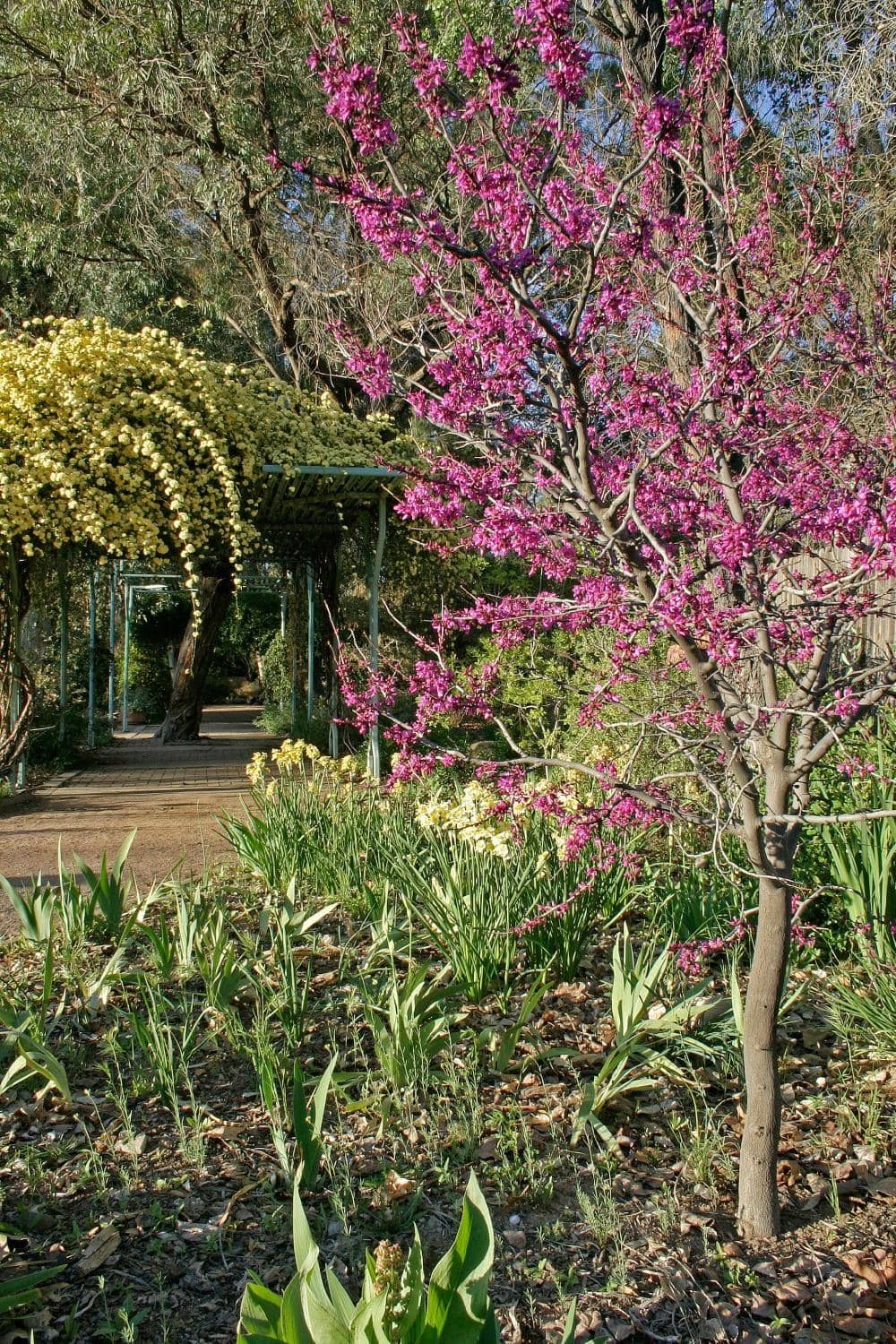 Informative Nature Trails