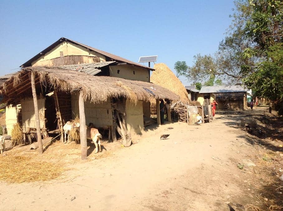 Chitwan National Park Safari