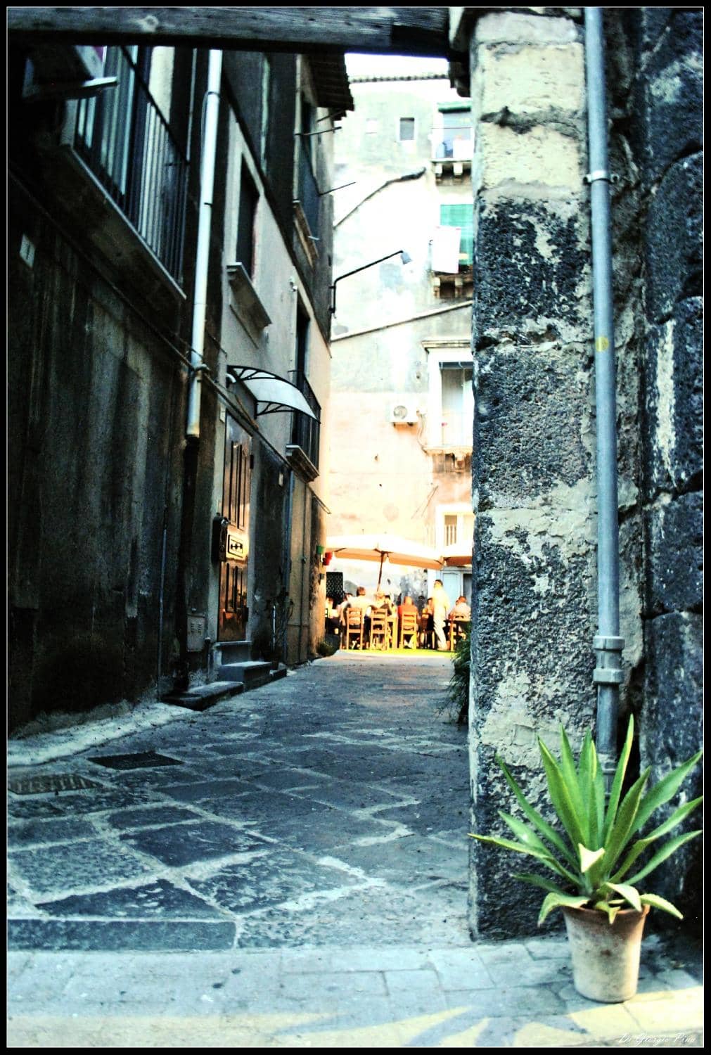 Vibrant Street-Side Dining