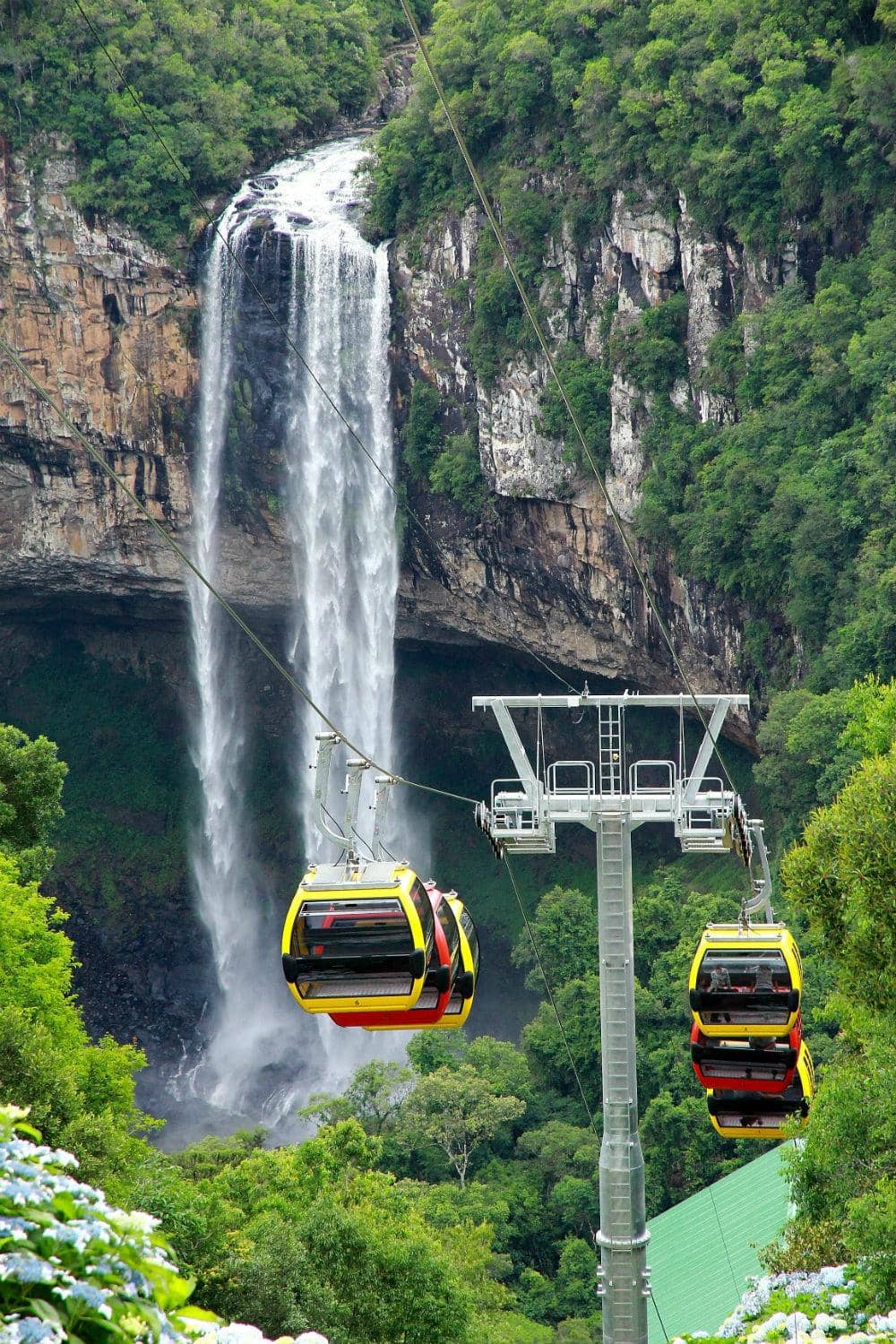Vertical photo