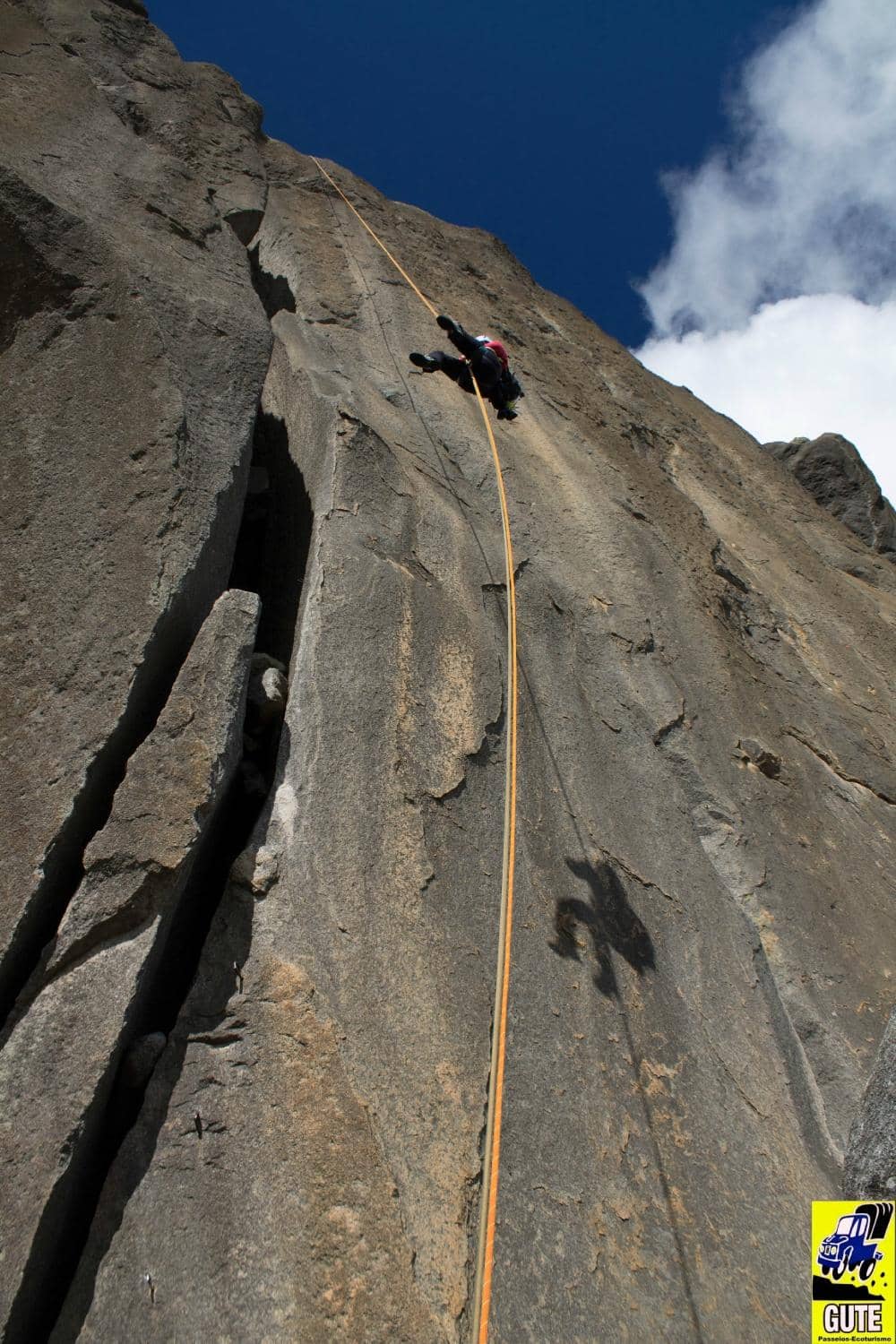 Vertical photo