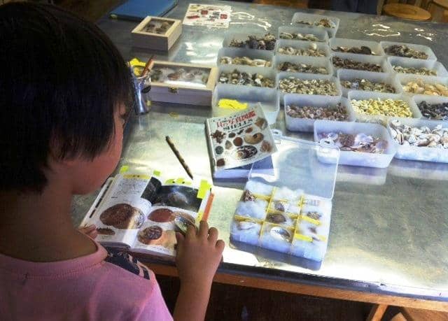 Mini Submarine Experience