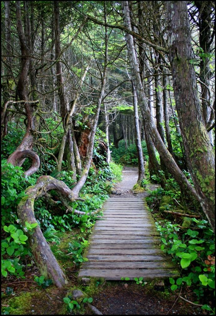 Juan de Fuca Marine Reserve