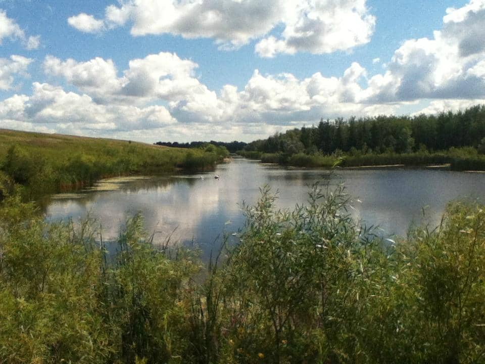 Scenic Walking Trails