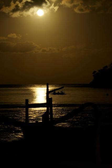 Fresh Seafood Delights