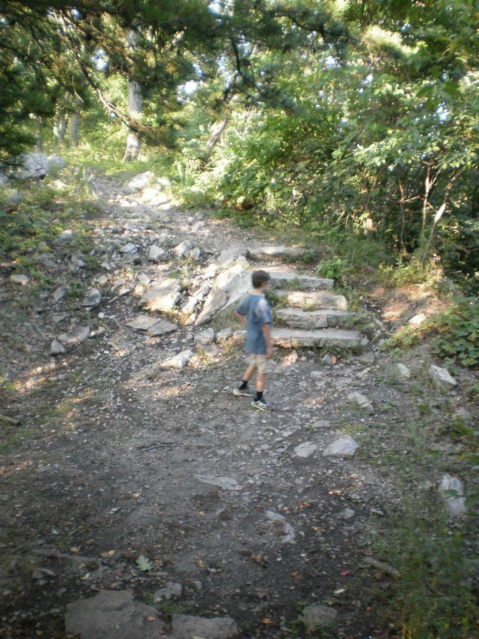 Historic Observation Tower
