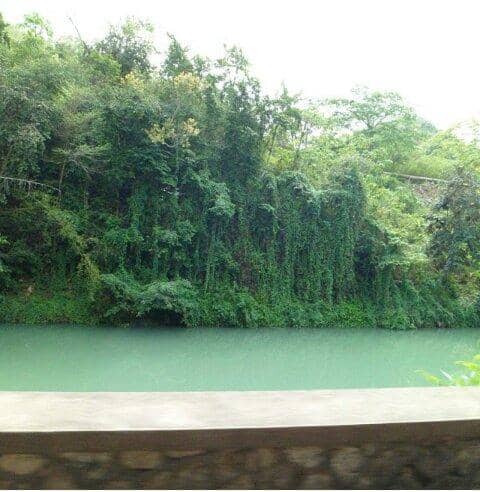The Fern Tunnel Drive