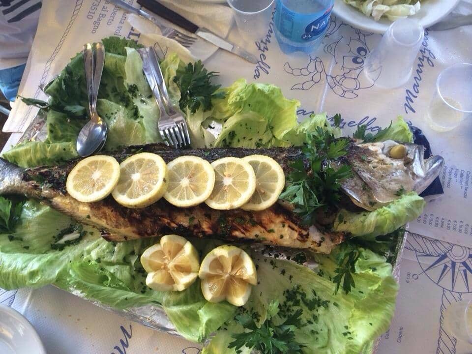 Rustic Seaside Ambiance