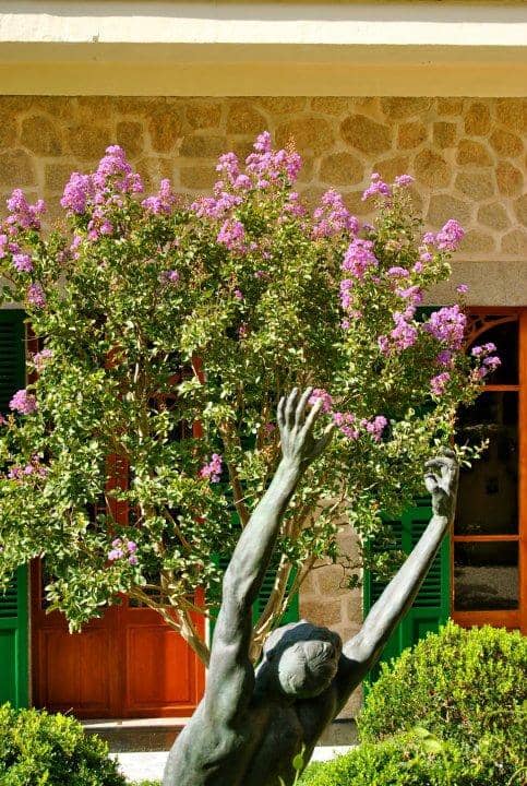 Immersive Art Experience