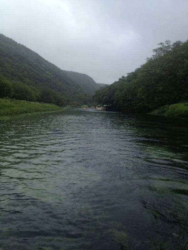 Lush Greenery and Rolling Hills