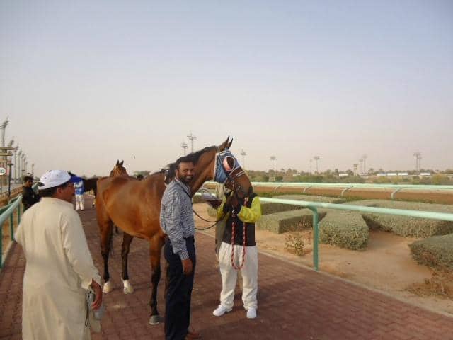 The Saudi Cup