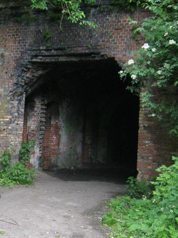 Vertical photo