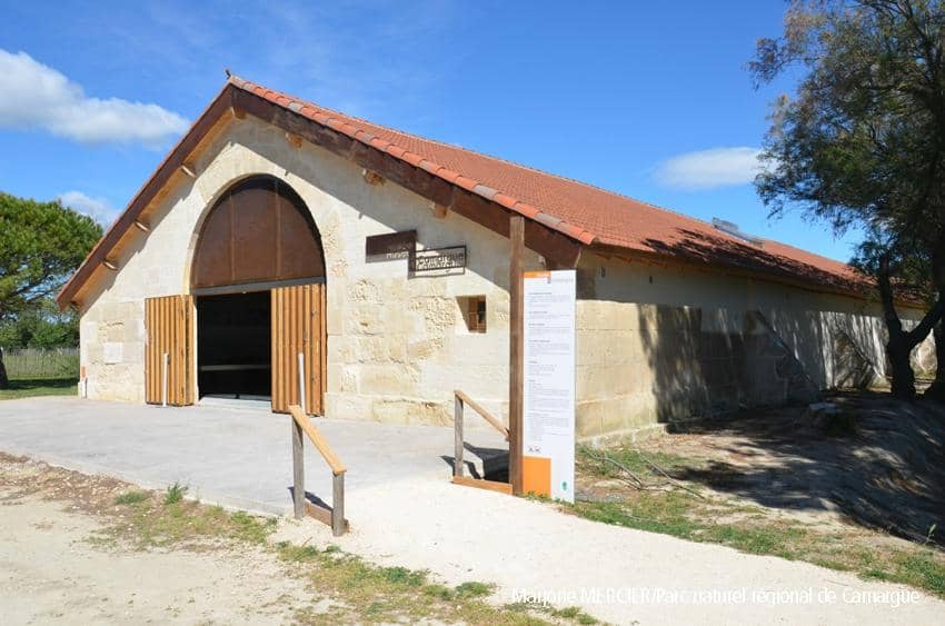 Camargue Landscape Trails