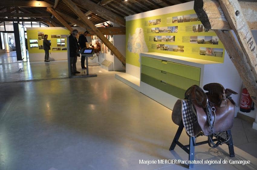 Camargue Landscape Trails