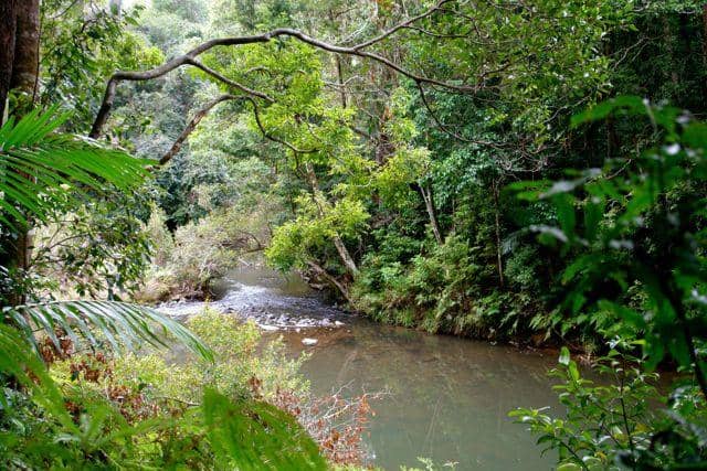 Finch Hatton Gorge Waterfalls