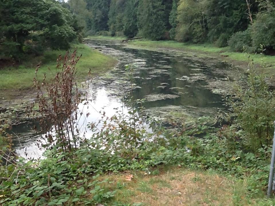 Old Mill Ruins