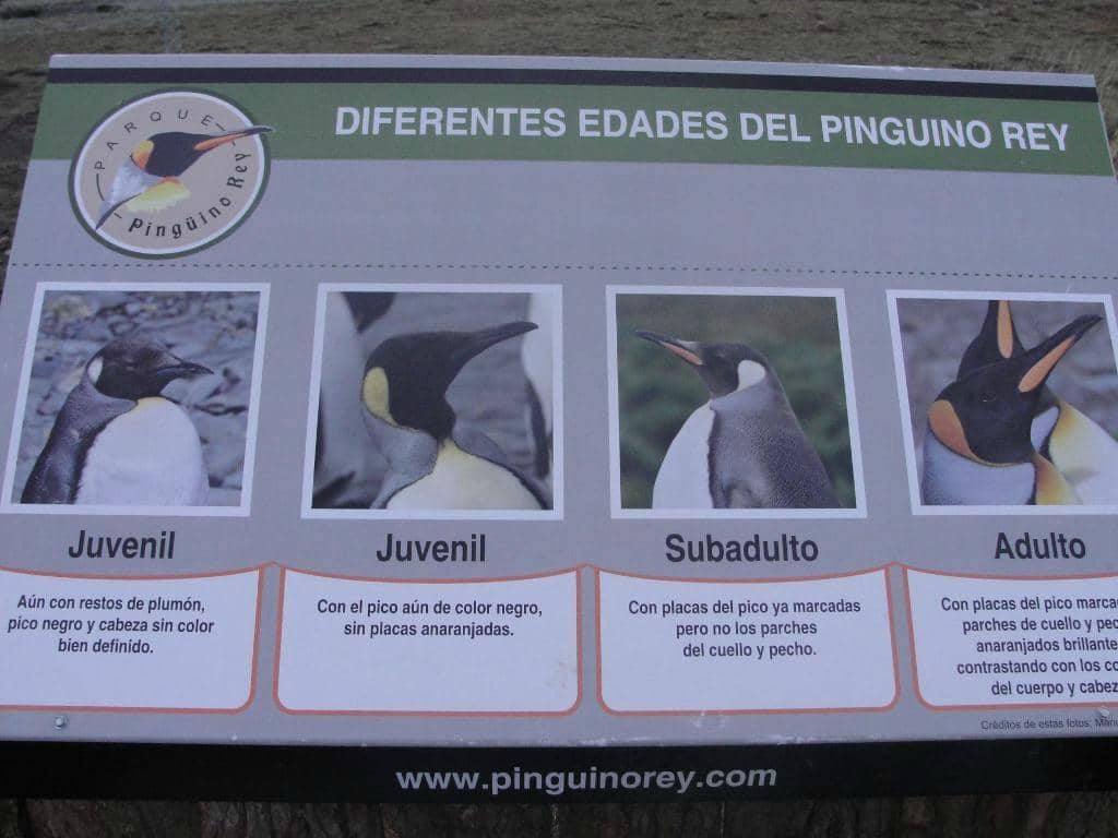 Educational Briefing